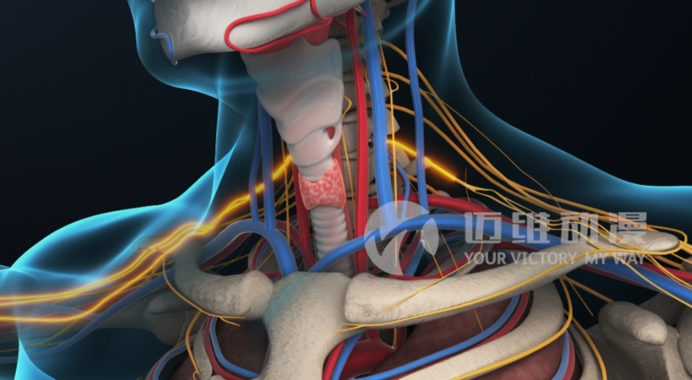 火爆出圈的“三維動(dòng)畫”，能為醫(yī)學(xué)行業(yè)發(fā)展帶來哪些機(jī)遇？(圖3)